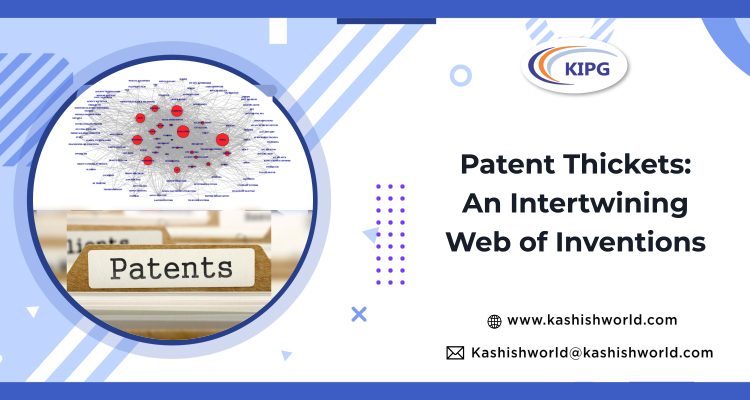 patent-thickets-an-intertwining-web-of-inventions