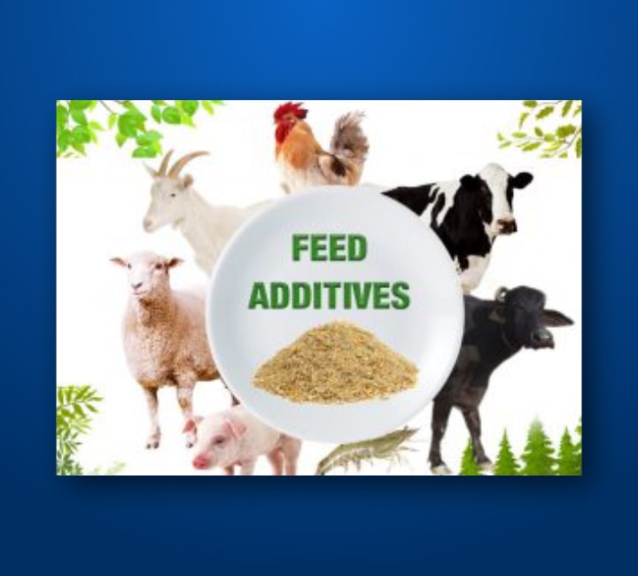 Food Additives for Animals